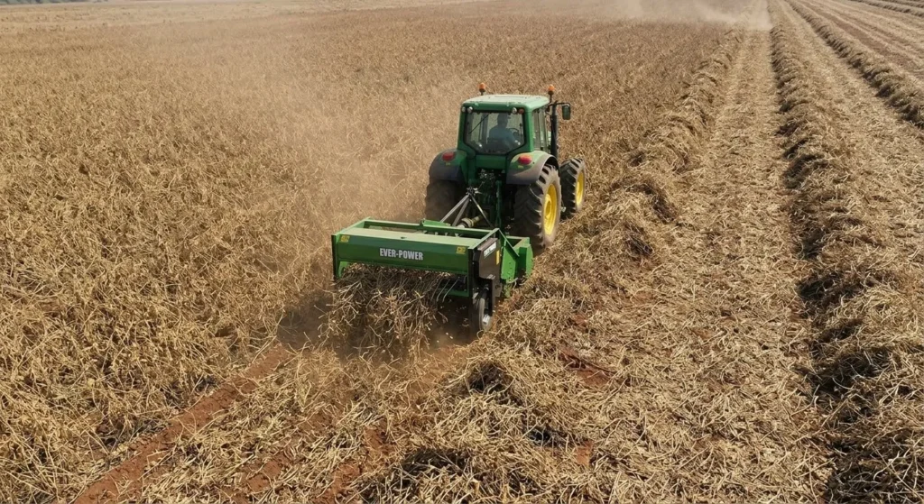 EP-4BYH-2.6 Rear-Mounted Bean Harvester-4